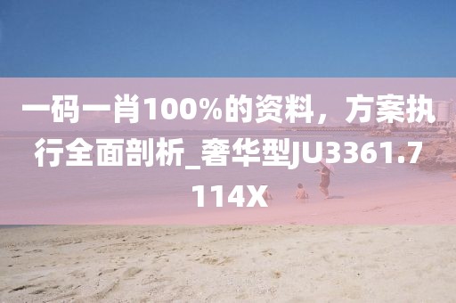 一码一肖100%的资料，方案执行全面剖析_奢华型JU3361.7114X