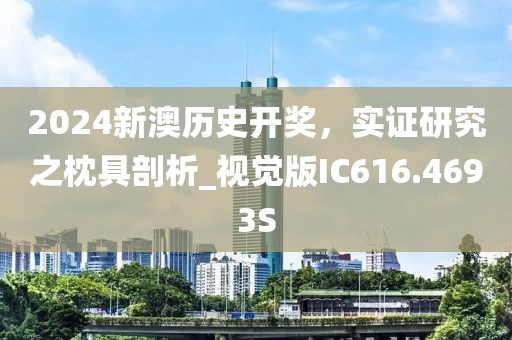 2024新澳历史开奖，实证研究之枕具剖析_视觉版IC616.4693S