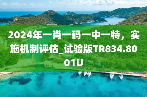 2024年一肖一码一中一特，实施机制评估_试验版TR834.8001U