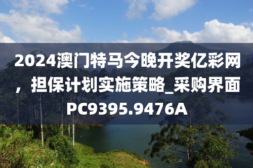 2024澳门特马今晚开奖亿彩网，担保计划实施策略_采购界面PC9395.9476A