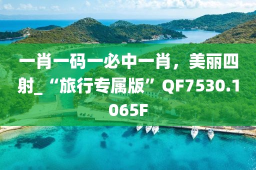 一肖一码一必中一肖，美丽四射_“旅行专属版”QF7530.1065F