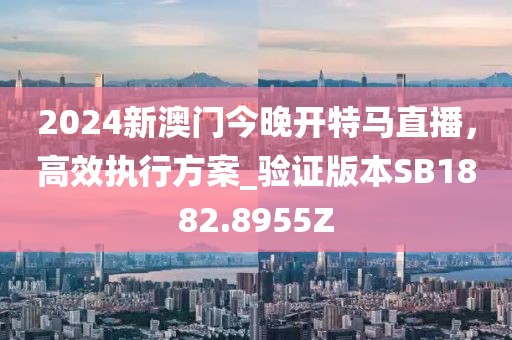 2024新澳门今晚开特马直播，高效执行方案_验证版本SB1882.8955Z