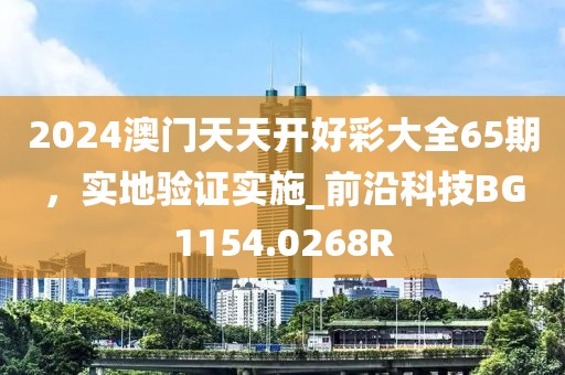 2024澳门天天开好彩大全65期，实地验证实施_前沿科技BG1154.0268R