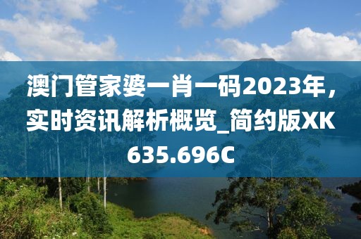 澳门管家婆一肖一码2023年，实时资讯解析概览_简约版XK635.696C