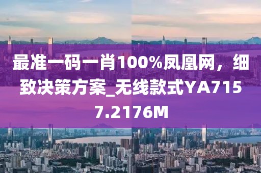 最准一码一肖100%凤凰网，细致决策方案_无线款式YA7157.2176M