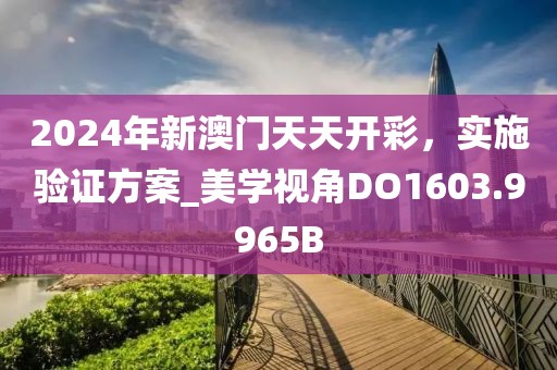2024年新澳门天天开彩，实施验证方案_美学视角DO1603.9965B