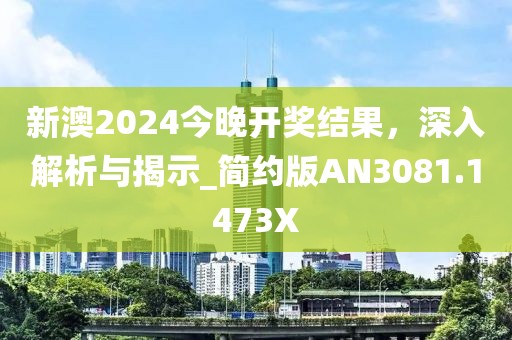 新澳2024今晚开奖结果，深入解析与揭示_简约版AN3081.1473X