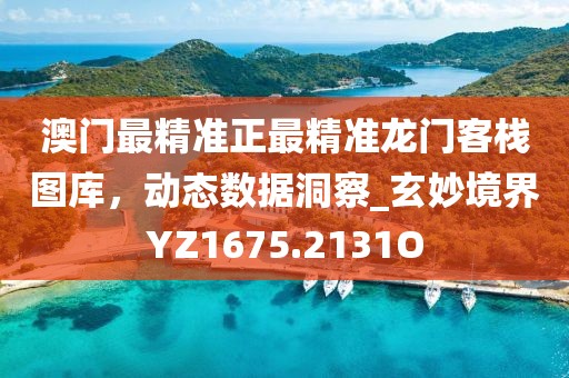 澳门最精准正最精准龙门客栈图库，动态数据洞察_玄妙境界YZ1675.2131O