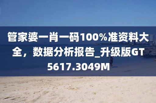 管家婆一肖一码100%准资料大全，数据分析报告_升级版GT5617.3049M