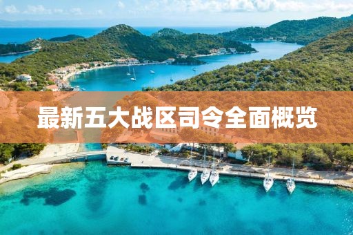 最新五大战区司令全面概览