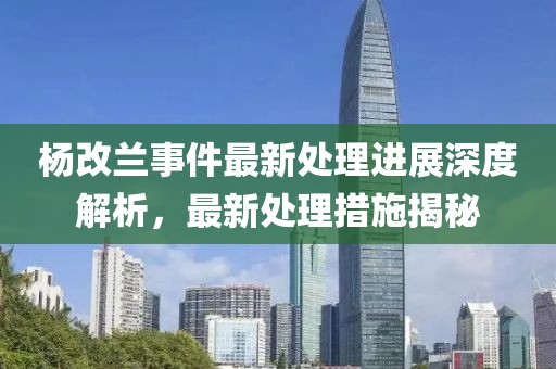 杨改兰事件最新处理进展深度解析，最新处理措施揭秘