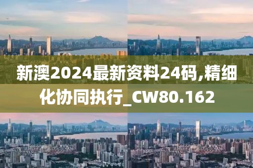 新澳2024最新资料24码,精细化协同执行_CW80.162