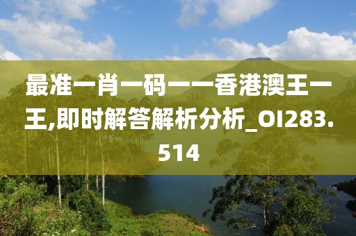 最准一肖一码一一香港澳王一王,即时解答解析分析_OI283.514