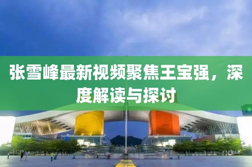 张雪峰最新视频聚焦王宝强，深度解读与探讨