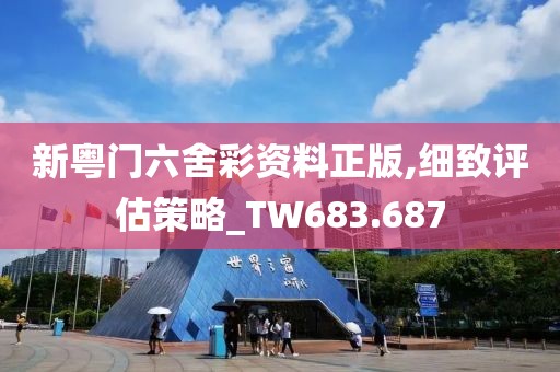 新粤门六舍彩资料正版,细致评估策略_TW683.687