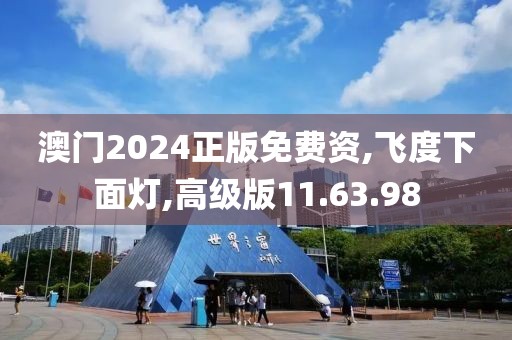 澳门2024正版免费资,飞度下面灯,高级版11.63.98