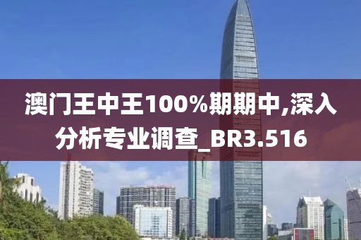 澳门王中王100%期期中,深入分析专业调查_BR3.516
