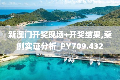 新澳门开奖现场+开奖结果,案例实证分析_PY709.432