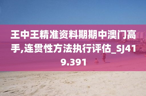 王中王精准资料期期中澳门高手,连贯性方法执行评估_SJ419.391