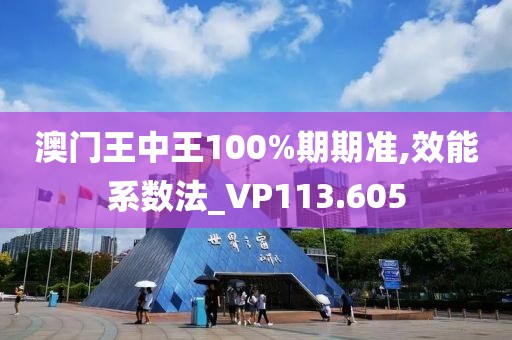 澳门王中王100%期期准,效能系数法_VP113.605