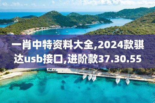 一肖中特资料大全,2024款骐达usb接口,进阶款37.30.55