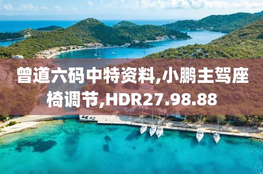曾道六码中特资料,小鹏主驾座椅调节,HDR27.98.88
