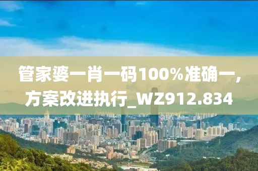 管家婆一肖一码100%准确一,方案改进执行_WZ912.834
