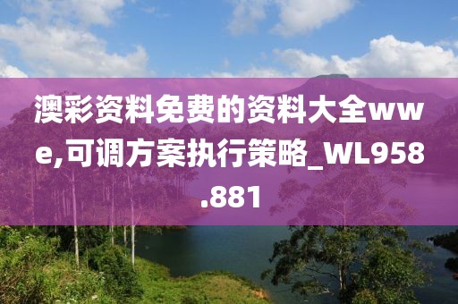 澳彩资料免费的资料大全wwe,可调方案执行策略_WL958.881