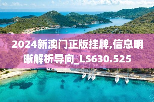 2024新澳门正版挂牌,信息明晰解析导向_LS630.525