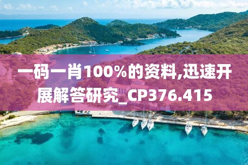 一码一肖100%的资料,迅速开展解答研究_CP376.415