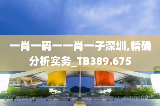 一肖一码一一肖一子深圳,精确分析实务_TB389.675
