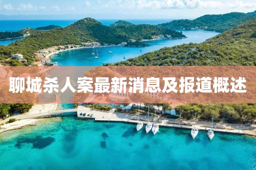 聊城杀人案最新消息及报道概述
