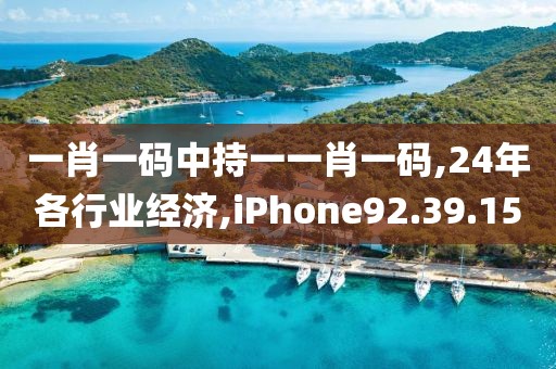 一肖一码中持一一肖一码,24年各行业经济,iPhone92.39.15