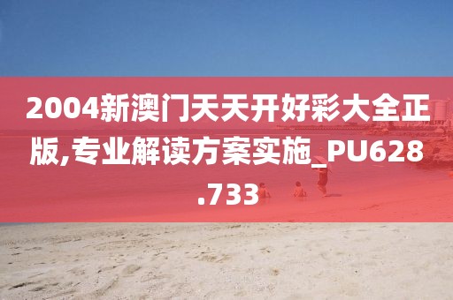 2004新澳门天天开好彩大全正版,专业解读方案实施_PU628.733