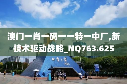 澳门一肖一码一一特一中厂,新技术驱动战略_NQ763.625