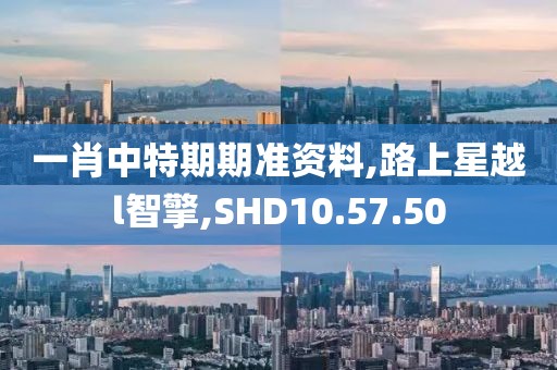 一肖中特期期准资料,路上星越l智擎,SHD10.57.50