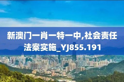 新澳门一肖一特一中,社会责任法案实施_YJ855.191