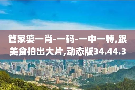 管家婆一肖-一码-一中一特,跟美食拍出大片,动态版34.44.30