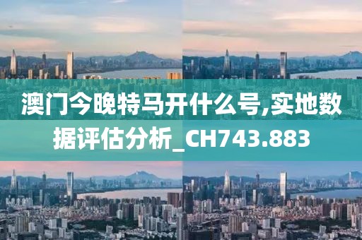 澳门今晚特马开什么号,实地数据评估分析_CH743.883
