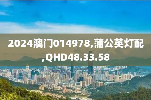 2024澳门014978,蒲公英灯配,QHD48.33.58