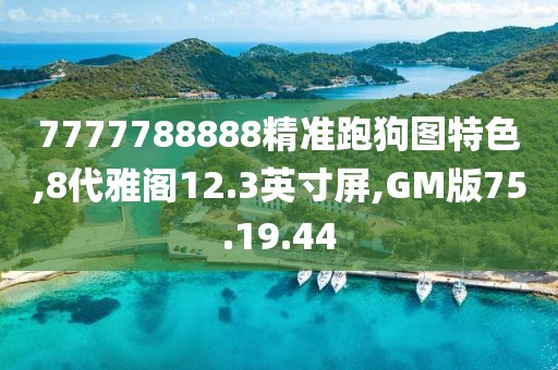 7777788888精准跑狗图特色,8代雅阁12.3英寸屏,GM版75.19.44