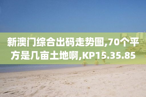 新澳门综合出码走势图,70个平方是几亩土地啊,KP15.35.85