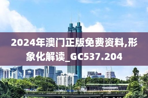 2024年澳门正版免费资料,形象化解读_GC537.204