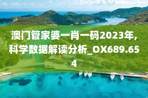 澳门管家婆一肖一码2023年,科学数据解读分析_OX689.654