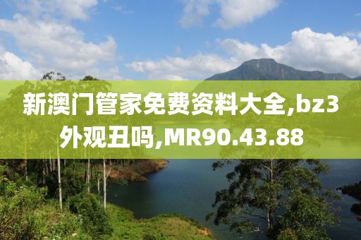 新澳门管家免费资料大全,bz3外观丑吗,MR90.43.88