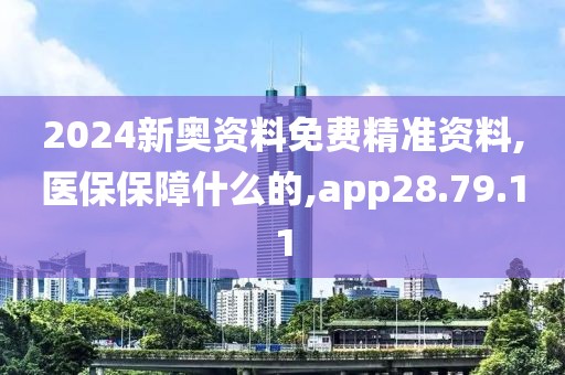 2024新奥资料免费精准资料,医保保障什么的,app28.79.11