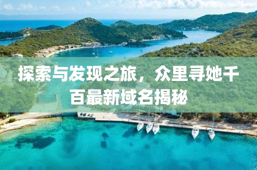 探索与发现之旅，众里寻她千百最新域名揭秘
