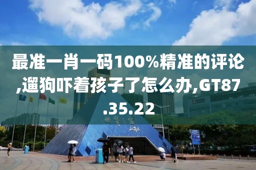最准一肖一码100%精准的评论,遛狗吓着孩子了怎么办,GT87.35.22