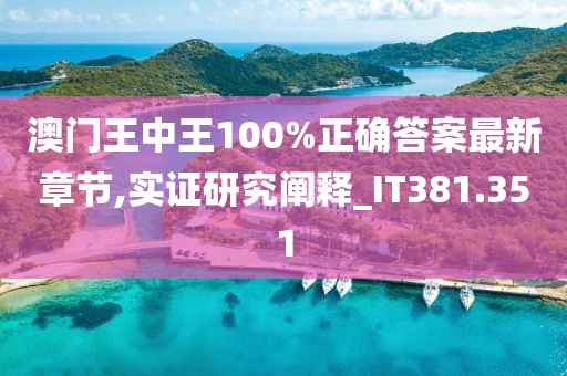 澳门王中王100%正确答案最新章节,实证研究阐释_IT381.351