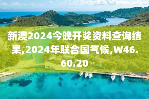 新澳2024今晚开奖资料查询结果,2024年联合国气候,W46.60.20